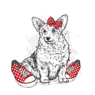 Sevimli köpek ok ve spor ayakkabı içinde polka noktaları. Vektör çizim bir kartpostal veya poster, giysiler için yazdırma için. Safkan köpek. Galce Corgi.