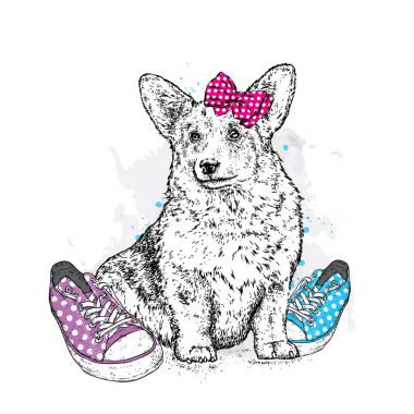 Sevimli köpek ok ve spor ayakkabı içinde polka noktaları. Vektör çizim bir kartpostal veya poster, giysiler için yazdırma için. Safkan köpek. Galce Corgi.