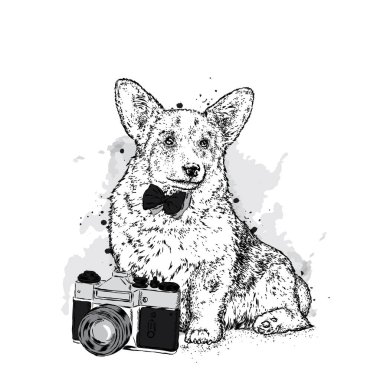 Sevimli bir köpek ve bir fotoğraf makinesi. Vektör çizim bir kartpostal veya poster, giysiler için yazdırma için. Safkan köpek. Galce Corgi.