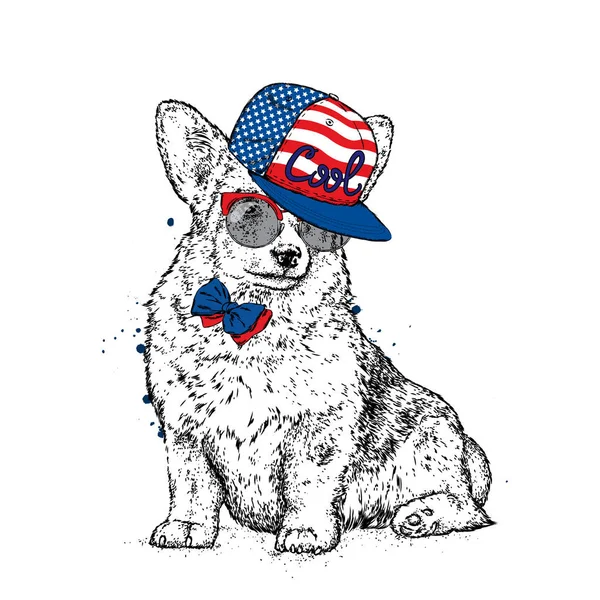 Cute puppy in a cap and glasses. Vector illustration for a postcard or a poster, print for clothes. Pedigree dog. Welsh Corgi. — Stock Vector