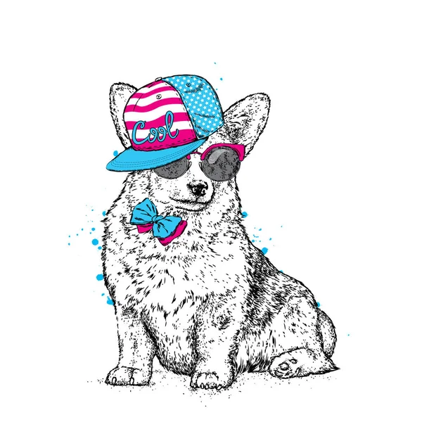 Söt valp i en mössa och glasögon. Vektorillustration för ett vykort eller en affisch, Skriv ut kläder. Stamtavla hund. Welsh Corgi. — Stock vektor