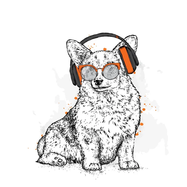 Cute puppy with glasses and headphones. Vector illustration for a postcard or a poster, print for clothes. Pedigree dog. Welsh Corgi. Music. — Stock Vector