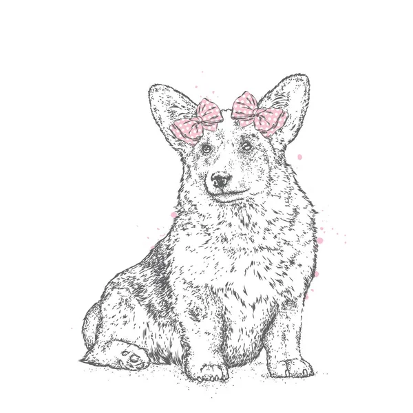 Cute puppy z łuków. Ilustracja wektorowa pocztówka lub plakat, nadruk na odzieży. Rodowód psa. Walijski Corgi. — Wektor stockowy