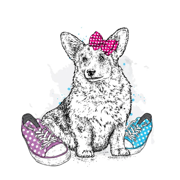 Sevimli köpek ok ve spor ayakkabı içinde polka noktaları. Vektör çizim bir kartpostal veya poster, giysiler için yazdırma için. Safkan köpek. Galce Corgi.