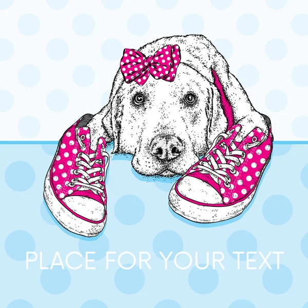 Симпатичный щенок с бантиками и кроссовками в горошек. Векторная иллюстрация для открытки или плаката, печать одежды. Родословная. Лабрадор . — стоковый вектор