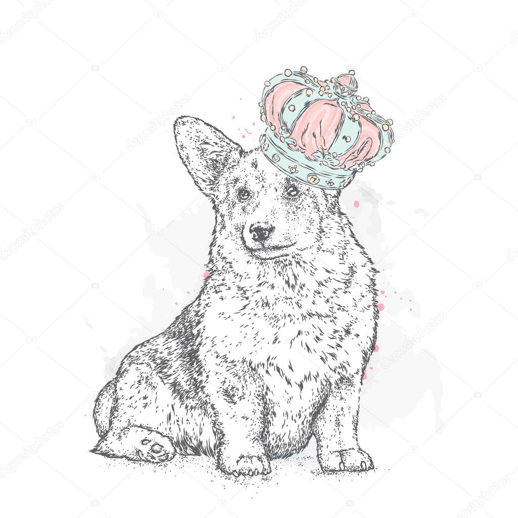 Cute puppy wearing a crown. Vector illustration for a postcard or a poster, print for clothes. Pedigree dog. Welsh Corgi.