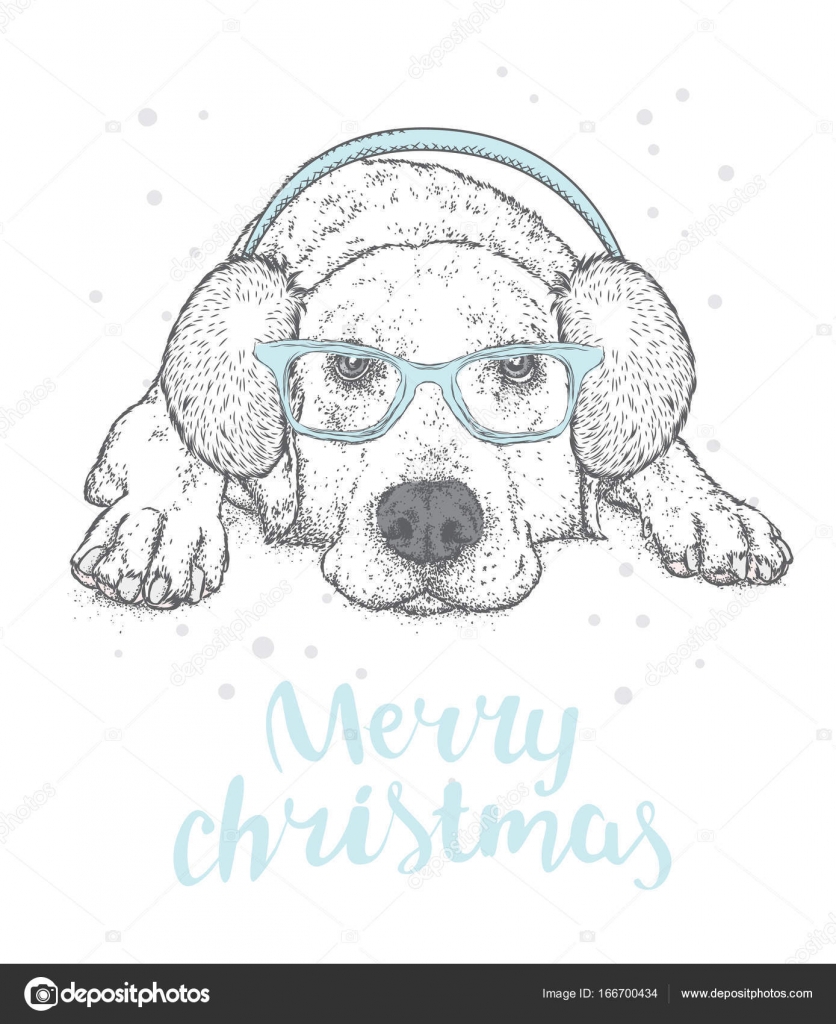 冬ヘッドフォンとメガネのかわいい子犬 ベクトルの図 血統の犬 ラブラドール ストックベクター C Vitalygrin