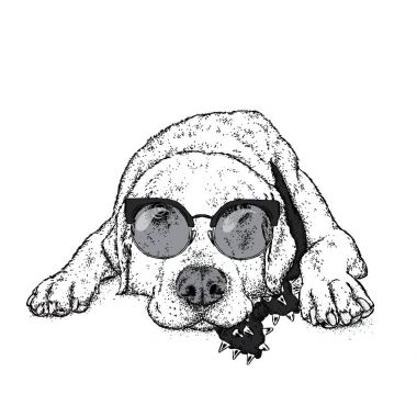 Bir gözlüklü şirin bir köpek. Vektör çizim bir kartpostal veya poster, giysiler için yazdırma için. Safkan köpek. Labrador.