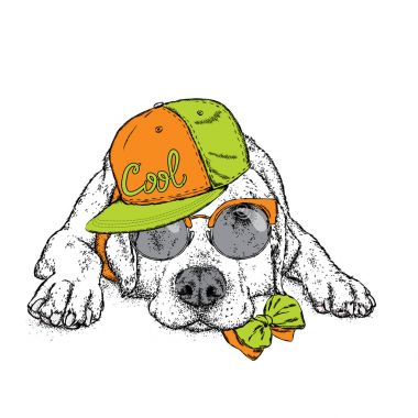 Sevimli köpek bir kap ve gözlük. Vektör çizim bir kartpostal veya poster, giysiler için yazdırma için. Safkan köpek. Labrador. USA, Amerika.