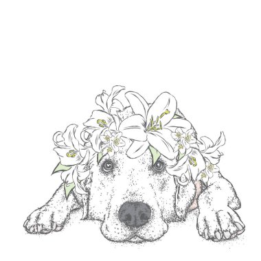 Zambak çelenk içinde şirin bir köpek. Vektör çizim. Safkan köpek. Labrador. Çiçek çelenk.