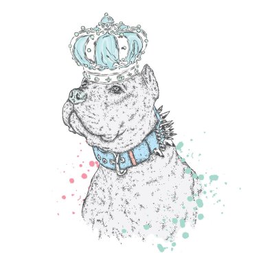 Safkan köpek. Pitbull. Zambak çelenk içinde güzel bir köpek yavrusu. Vektör çizim. Kaplan ve çiçekler.