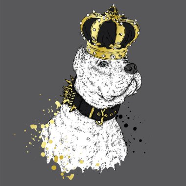 Safkan köpek. Pitbull. Zambak çelenk içinde güzel bir köpek yavrusu. Vektör çizim. Kaplan ve çiçekler.