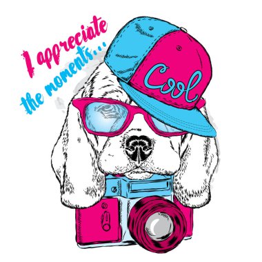 Sevimli köpek bir kap ve bir kamera ile. Vektör çizim kartı veya poster, elbiselere yazdırma için. Safkan köpek. Beagle.