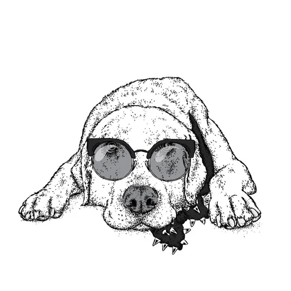 Un chiot mignon avec des lunettes. Illustration vectorielle pour une carte postale ou une affiche, impression pour vêtements. Chien de race. Labrador . — Image vectorielle