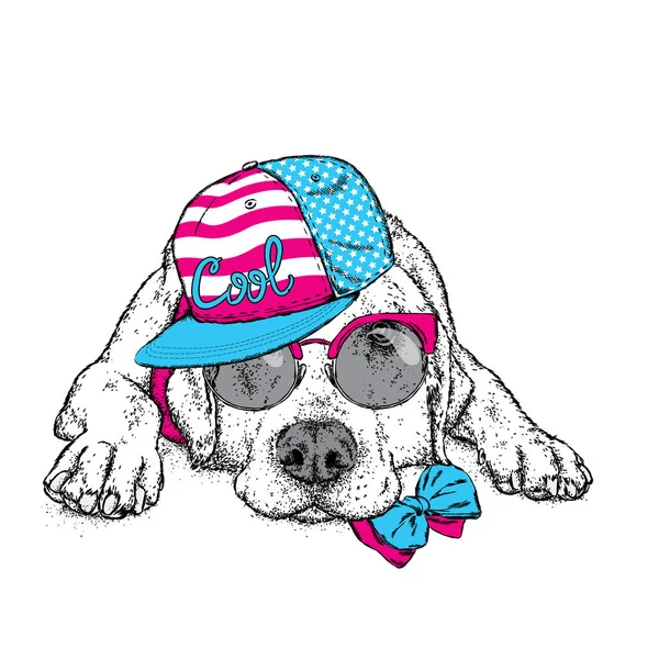 Lindo cachorro en una gorra y gafas. Ilustración vectorial para una postal o un póster, impresión para ropa. Perro de pedigrí. Labrador. Estados Unidos, América . — Archivo Imágenes Vectoriales