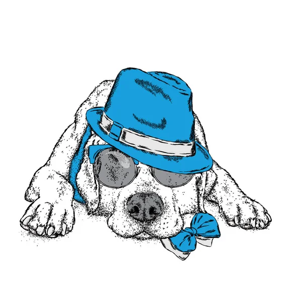 帽子とメガネのかわいい子犬。ベクトル イラストはがきやポスター、服のプリント。血統の犬。ラブラドール. — ストックベクタ