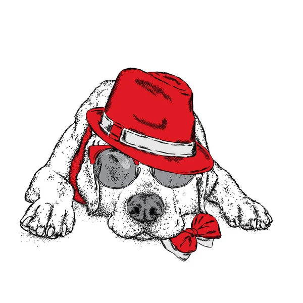Bir şapka ve gözlük ile sevimli bir köpek. Vektör çizim bir kartpostal veya poster, giysiler için yazdırma için. Safkan köpek. Labrador. — Stok Vektör