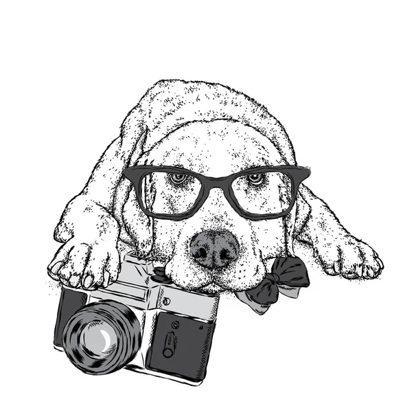 Lindo cachorro con una cámara vintage. Perro de pedigrí. Labrador . — Archivo Imágenes Vectoriales