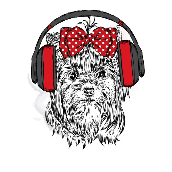 Sevimli köpek bir kap ve bir kamera ile. Vektör çizim kartı veya poster, elbiselere yazdırma için. Safkan köpek. Beagle.