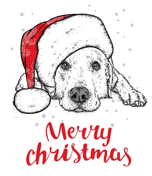 새 해 모자에 귀여운 강아지입니다. 벡터 일러스트입니다. 혈통 강아지입니다. 래브라도입니다. 크리스마스 트리 볼. — 스톡 벡터