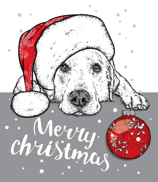 Yeni yıl şapkası şirin köpek yavrusu. Vektör çizim. Safkan köpek. Labrador. Noel ağacı topu.