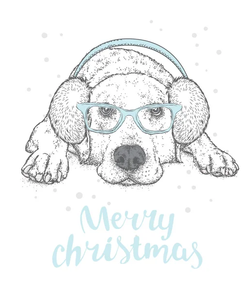 Sevimli köpek kış kulaklık ve gözlük. Vektör çizim. Safkan köpek. Labrador.