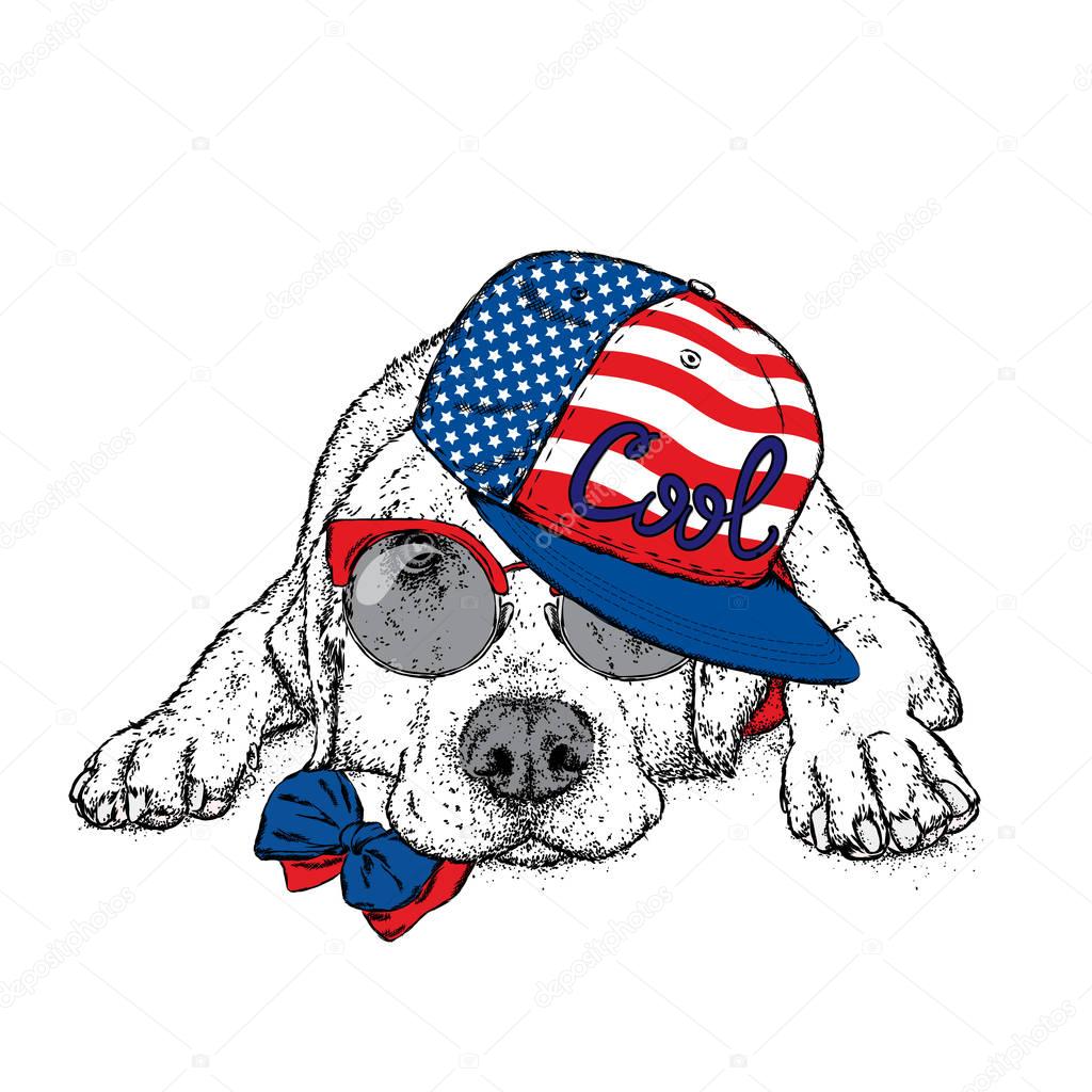 Cute puppy in a cap and glasses. Vector illustration for a postcard or a poster, print for clothes. Pedigree dog. Labrador. USA, America.