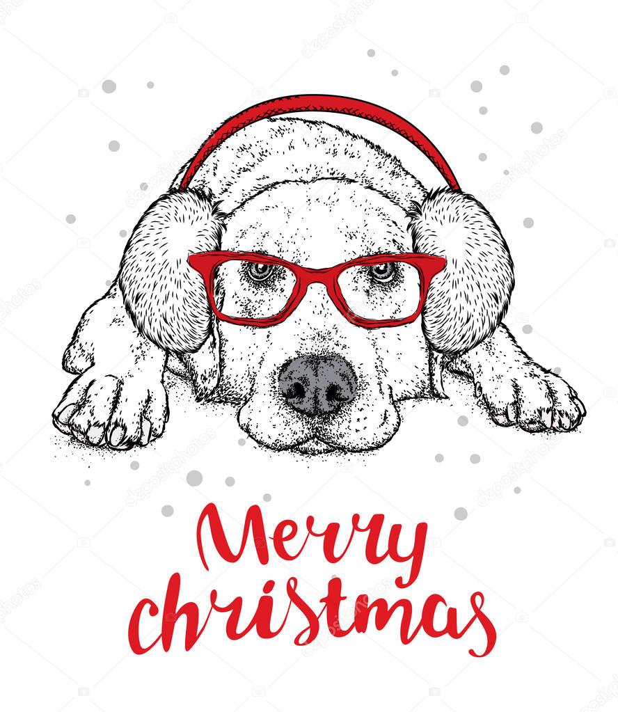 Cute puppy in winter headphones and glasses. Vector illustration. Pedigree dog. Labrador.