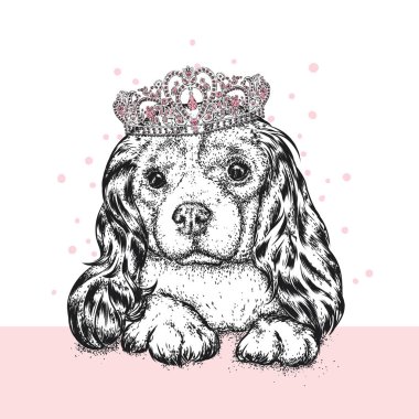 Taç güzel köpek. Şirin İspanyol. Safkan köpek yavrusu. Vektör çizim bir kartpostal veya poster, giysi ve aksesuarları için yazdırma için. Bir prenses.