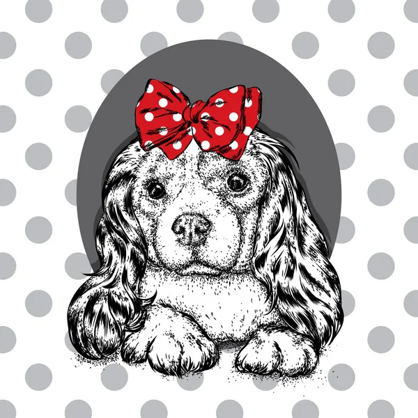 Kafasında bir yay ile güzel bir köpek. Şirin İspanyol. Safkan köpek yavrusu. Vektör çizim için bir kartpostal veya poster, giysi ve aksesuarları için yazdırma.