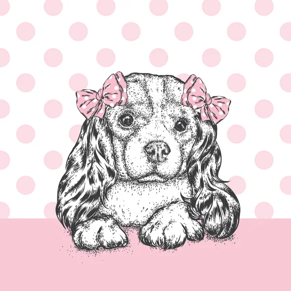 Un hermoso perro con un lazo en la cabeza. Lindo Spaniel. Cachorro de pura raza. Ilustración vectorial para una postal o un póster, impresión para ropa y accesorios . — Vector de stock