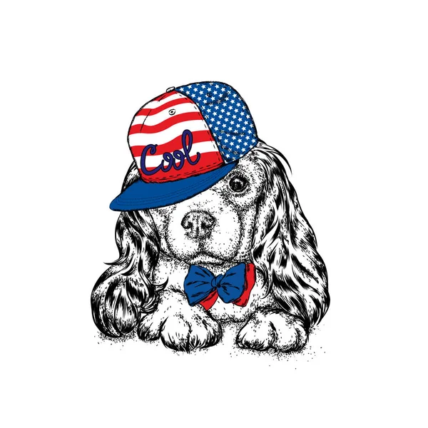 En vacker hund i en krans med en cap och slips. Cool Spaniel. Renrasiga valp. Vektorillustration för ett vykort eller en affisch, Skriv ut kläder och tillbehör. — Stock vektor