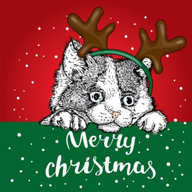 Noel de kedi kostümleri. Kedi boynuzlu bir eşarp ve güneş gözlüğü. Bir kartı veya poster için vektör çizim. Noel ve yeni yıl.