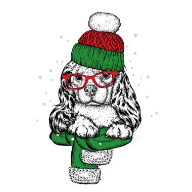 Sevimli köpek bir şapka, eşarp ve gözlük. Safkan köpek yavrusu. Kış giysileri içinde İspanyol. Vektör çizim için bir kartpostal veya poster, giysiler için yazdırma.