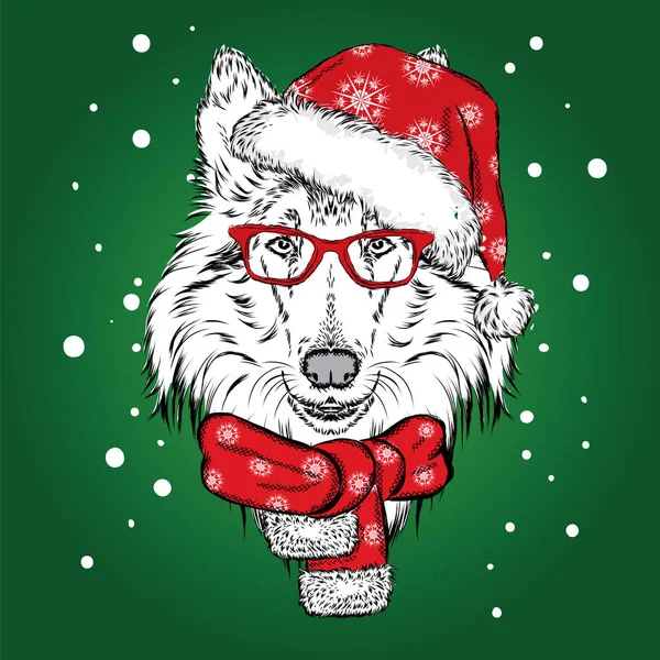 Sevimli köpek Noel şapka ve güneş gözlüğü. Vektör çizim için tebrik kartı, poster ya da baskı dökmeyin. Safkan köpek. Kömür ocağı. Kış, Noel ve yeni yıl.