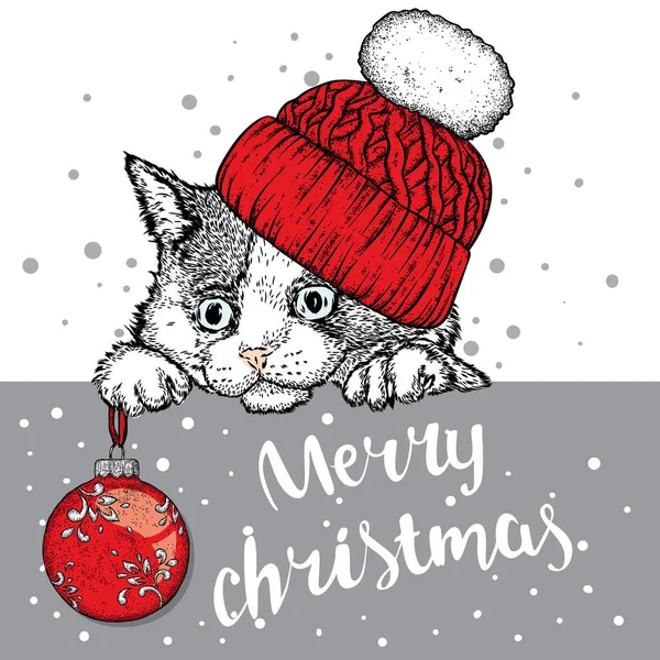 Gattino in un berretto e con la palla di anno nuovo. Bel gatto. Illustrazione vettoriale per una carta o un poster. Natale e Capodanno . — Vettoriale Stock