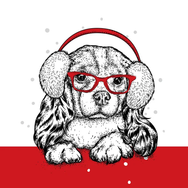 Roztomilé štěně v zimě sluchátka a brýle. Krásný čistokrevný pes. Kokršpaněl. Nový rok a Vánoce, zima. — Stockový vektor