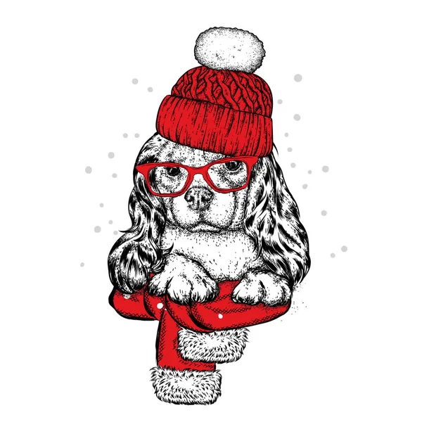 Sevimli köpek bir şapka, eşarp ve gözlük. Safkan köpek yavrusu. Kış giysileri içinde İspanyol. Vektör çizim için bir kartpostal veya poster, giysiler için yazdırma. — Stok Vektör