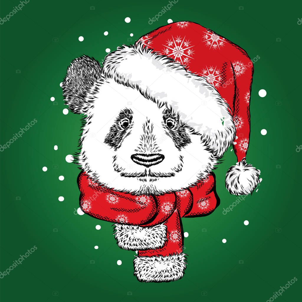 Panda Christmas hat and scarf. Vector illustration for greeting card, poster, or print on clothes. Christmas and New Year. Winter.