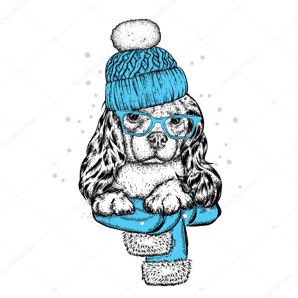 Cute dog in a hat, scarf and glasses. Purebred puppy. Spaniel in winter clothes. Vector illustration for a postcard or a poster, print for clothes.