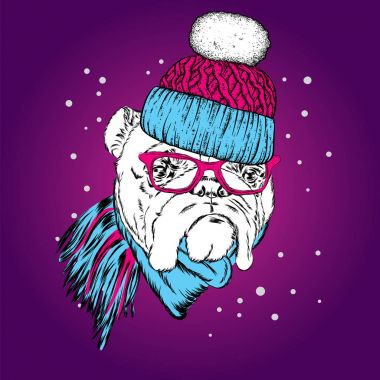 Güzel bir köpek yavrusu kış şapka ve atkı. Safkan köpek. İngilizce bulldog. Vektör çizim bir kartpostal, poster, yazdırma için giysi ve aksesuarları için. Yeni yıl ve Noel.