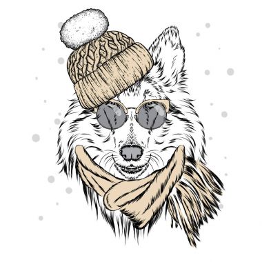 Güzel bir köpek yavrusu kış şapka ve atkı. Safkan köpek. Kömür ocağı. Vektör çizim bir kartpostal, poster, yazdırma için giysi ve aksesuarları için. Yeni yıl ve Noel.