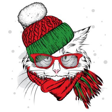 Bir kış şapka ve atkı güzel bir kedi. Şirin kedi yavrusu. Vektör çizim bir kartpostal, poster, yazdırma için giysi ve aksesuarları için. Yeni yıl ve Noel.