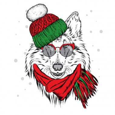 Güzel bir köpek yavrusu kış şapka ve atkı. Safkan köpek. Kömür ocağı. Vektör çizim bir kartpostal, poster, yazdırma için giysi ve aksesuarları için. Yeni yıl ve Noel.