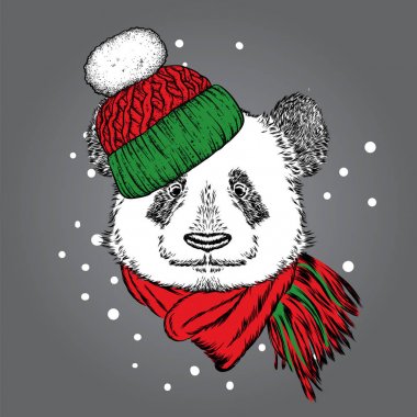Güzel bir panda bir kış şapka ve atkı. Sevimli ayı. Vektör çizim bir kartpostal, poster, yazdırma için giysi ve aksesuarları için. Yeni yıl ve Noel.