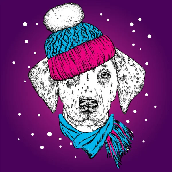 Un bellissimo cucciolo con cappello e sciarpa invernali. Cane dell'alveare. Dalmata. Illustrazione vettoriale per una cartolina, poster, stampa per vestiti o accessori. Capodanno e Natale . — Vettoriale Stock