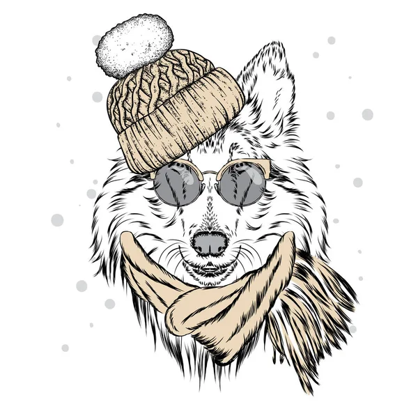 Güzel bir köpek yavrusu kış şapka ve atkı. Safkan köpek. Kömür ocağı. Vektör çizim bir kartpostal, poster, yazdırma için giysi ve aksesuarları için. Yeni yıl ve Noel.