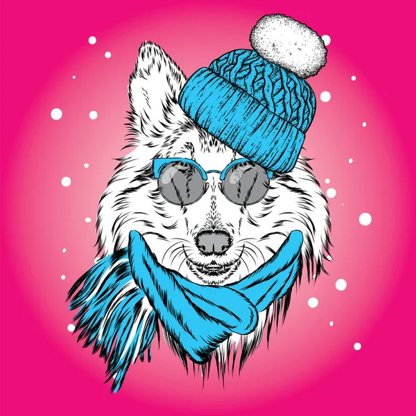 Güzel bir köpek yavrusu kış şapka ve atkı. Safkan köpek. Kömür ocağı. Vektör çizim bir kartpostal, poster, yazdırma için giysi ve aksesuarları için. Yeni yıl ve Noel.