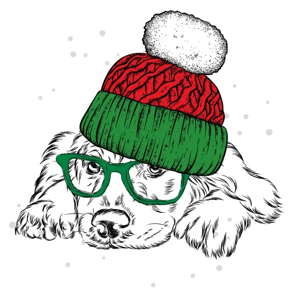 Güzel bir köpek yavrusu kış şapka ve atkı. Safkan köpek. Labrador ya da İspanyol. Vektör çizim bir kartpostal, poster, yazdırma için giysi ve aksesuarları için. Yeni yıl ve Noel. — Stok Vektör