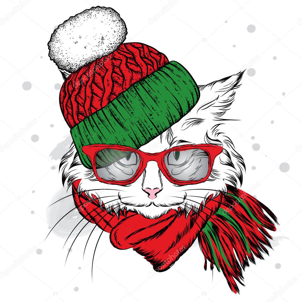 A beautiful cat in a winter hat and scarf. Cute kitten. Vector illustration for a postcard, poster, print for clothes or accessories. New Year's and Christmas.